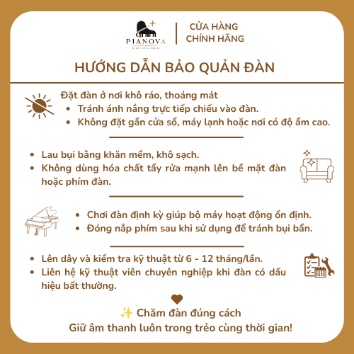 Hướng dẫn bảo quản đàn